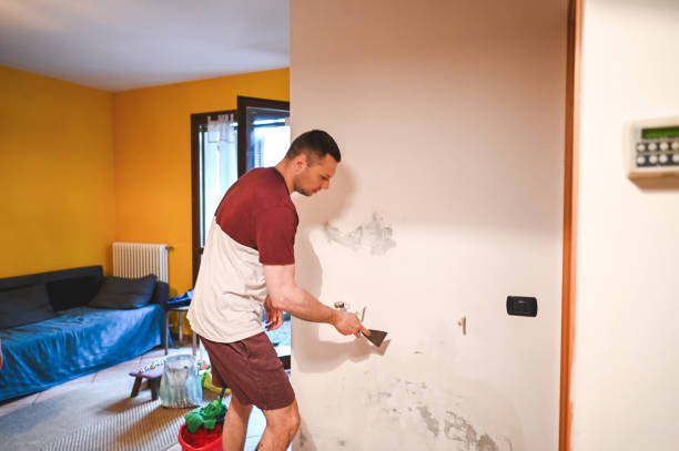 Best Basement Mold Remediation in Pleasantville, NJ